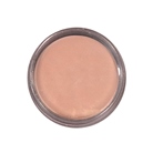 Recharge fards sfx chaire claire 5 ml MAQPRO