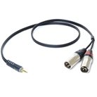 Cordon 2 XLR 3 mâle - MINIJACK 3,5mm stéréo mâle - longueur 3m