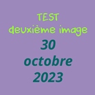 Pied de sol K&M pour projecteur avec terminaison filetage M10