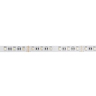 Strip LED 24V RGB + Blanc chaud 2400K 60 LEDs/m 4300lm IRC82 - ARTECTA