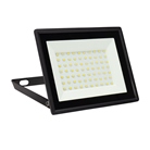 Quartzled Blanc froid 6500K 50W NOIR - IP65 - SPECTRUM LED