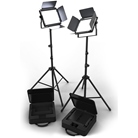 Kit de 2 panels led 40W Chauvet DJ Cast Panel avec pieds et sacs